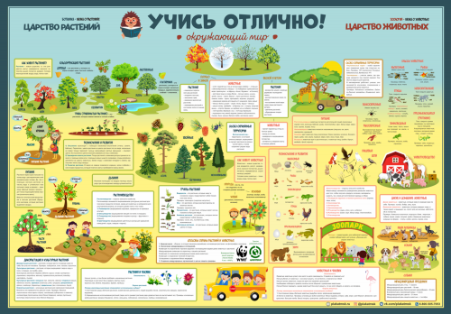 Плакат Окружающий мир начальная школа 