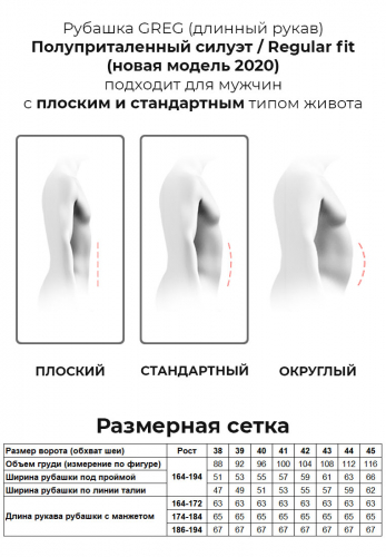 Сорочка мужская длинный рукав GREG 221/139/MAK/ZN/1