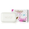 PEI MEI  Мыло для лица COLLAGEN SNAIL Отбеливающее с КОЛЛАГЕНОМ и экстрактом УЛИТКИ  100г  (PM-6861)