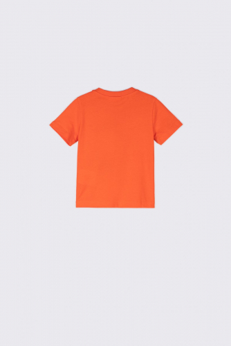 -49% T-shirt z krótkim rękawem pomarańczowy z nadrukiem dinozaurów
