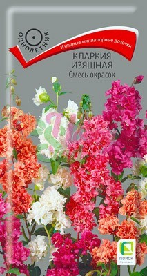 Цветы Кларкия Смесь окрасок изящная (0,2 г) Поиск