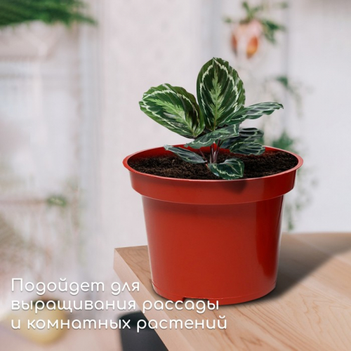 Горшок для рассады, 7,5 л, d = 25,5 см, h = 20,5 см, терракот, Greengo