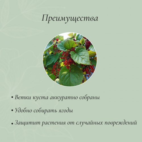 Кустодержатель, d = 30 см, h = 60 см, ножка d = 0,3 см, металл,  2 шт., зелёный, Greengo
