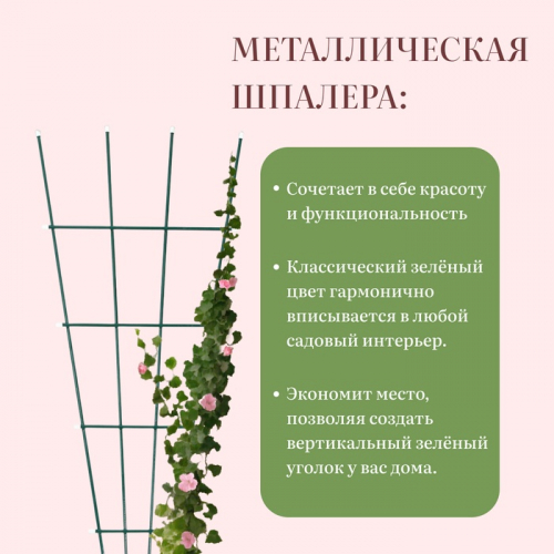 Шпалера веерная, 150 × 52 × 1 см, металл, зелёная