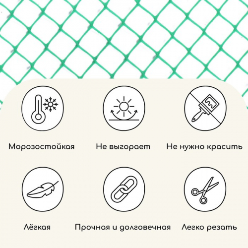 Сетка садовая, 1 × 10 м, ячейка ромб 13 × 13 мм, для птичников, пластиковая, зелёная, Greengo, в рулоне