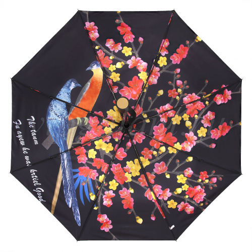 Зонт женский складной Arman Birds виниловый купол