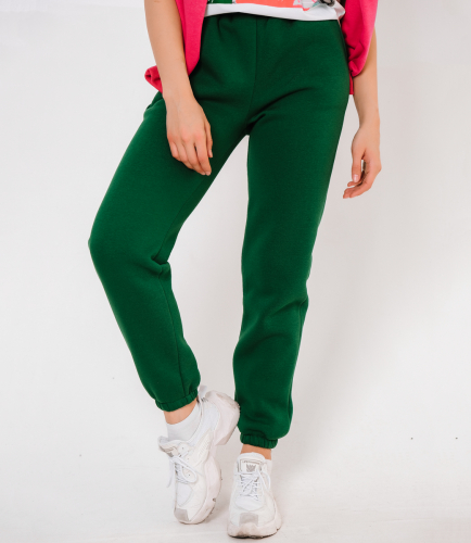 Спортивные брюки #БШ1658, зелёный