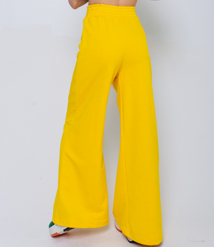 Спортивные брюки #ОБШ1632, жёлтый