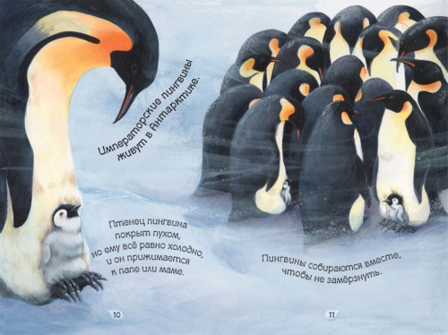 Мамы и малыши. Умные книжки
