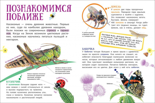 Животные. Гигантская энциклопедия для самых маленьких