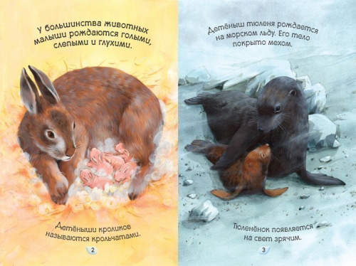 Мамы и малыши. Умные книжки