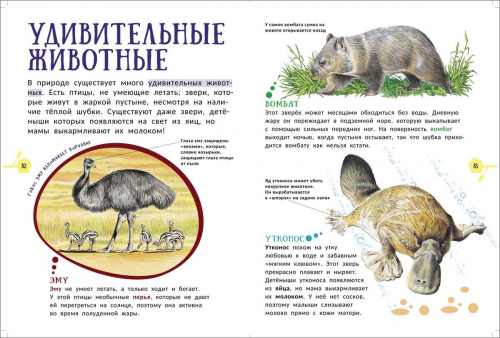 Животные. Гигантская энциклопедия для самых маленьких