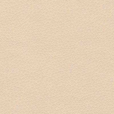 Кожзам Rose Beige