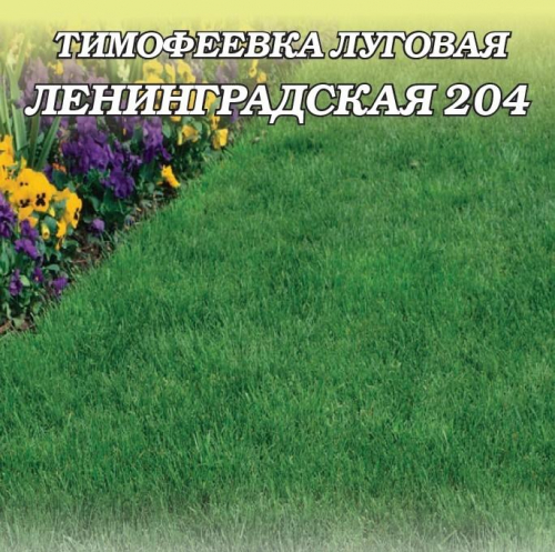 Газон Тимофеевка Ленинградская ПАКЕТ 1 кг Гавриш