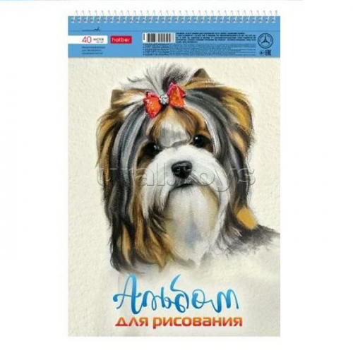 Альбом для рисования 40л А4ф перфорация на отрыв на спирали тиснение 