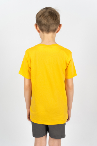 Комплект для мальчика 4292 (футболка + шорты)