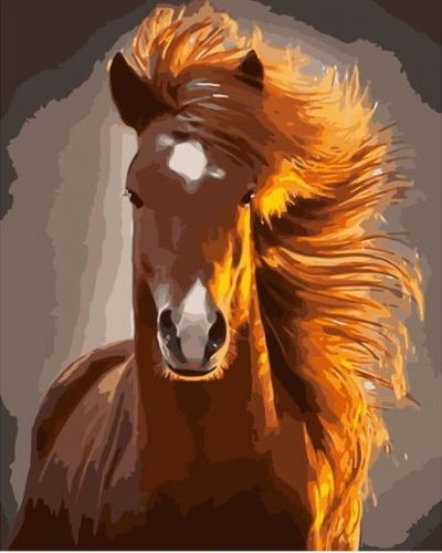 Картина по номерам 40х50 - Рыжая лошадь