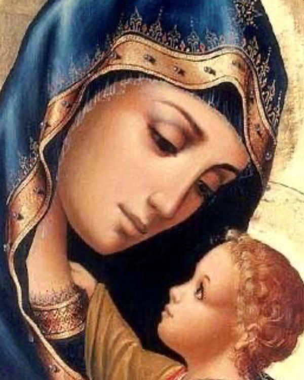 Картина по номерам на холсте и подрамнике 40х50 см