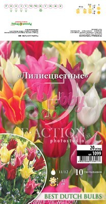 Тюльпан Смесь лилиецветные 11/12 (10 шт) лилиецветный BDB