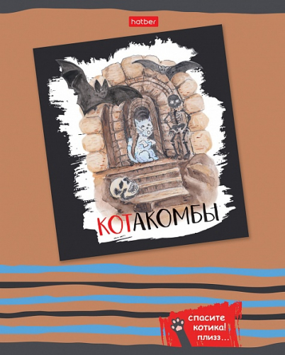 30р. 35р.Тетрадь 48л А5ф клетка на скобе 5 диз.в блоке скругл.углы серия -Спасите котика- 