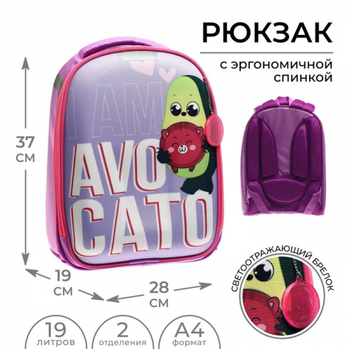 Рюкзак каркасный школьный, 37 х 28 х 19 см, Calligrata К 
