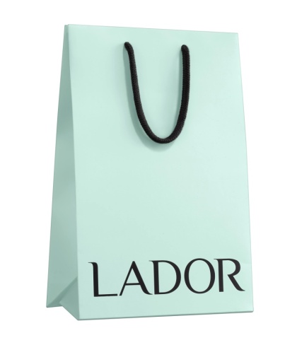 La'dor SMALL SHOPPING BAG Подарочный пакет 1шт