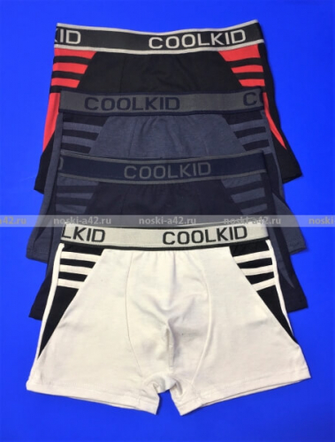 Детские трусы-боксеры для мальчиков  COOL KID арт. 6901 (6902, 6905)