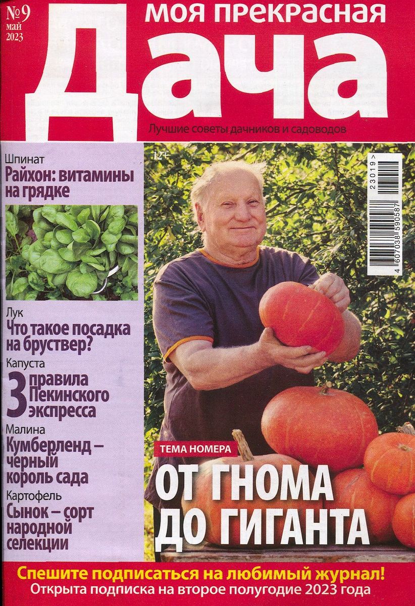 Вся Коллекция Рецептов на бис 01/23. Кулинарные журналы