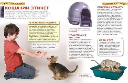 Уценка. Кошки и котята. Детская энциклопедия