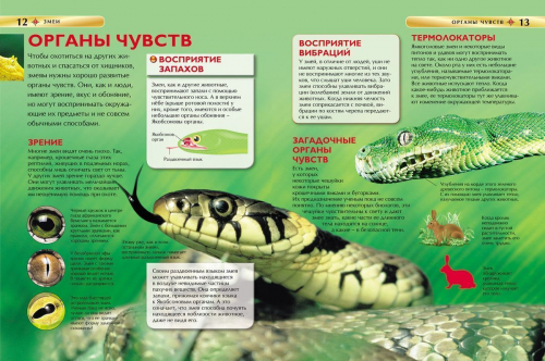 Змеи. Детская энциклопедия