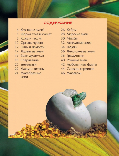 Змеи. Детская энциклопедия