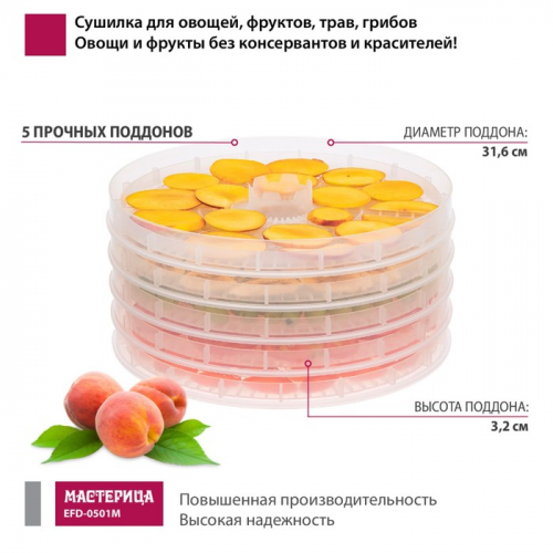 Сушилка для овощей и фруктов «‎Мастерица EFD-0501M», 125 Вт, белая