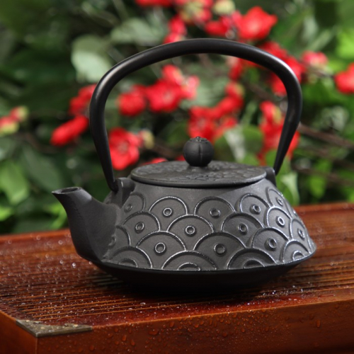 Чайник чугунный Доляна «Джана», 900 мл, с ситом, цвет чёрный