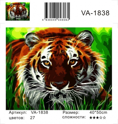 Картины по номерам Притаившийся тигр