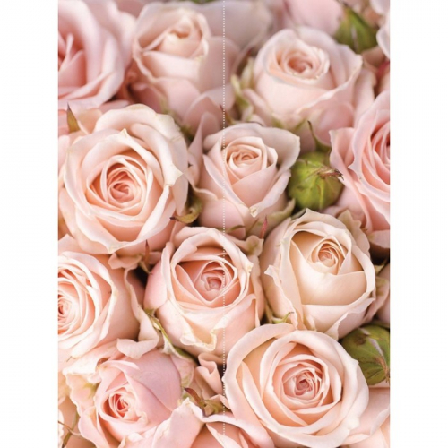Фотообои флизелиновые Flizetto Matrix «Розовые розы» 200х270 см