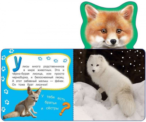 Лиса. Мои веселые друзья