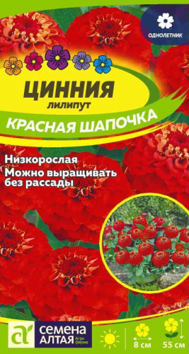 Цветы Цинния лилипут Красная шапочка/Сем Алт/цп 0,3 гр.