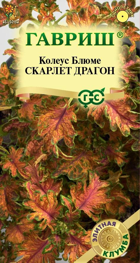 Цветы Колеус Блюме Скарлет Драгон 4 шт ц/п Гавриш (комн.)