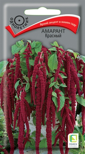 Цветы Амарант Красный 0,1 г ц/п Поиск (однол.)