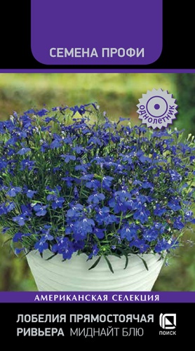Цветы Лобелия Ривьера Миднайт Блю 10 шт ц/п Поиск (однол.)