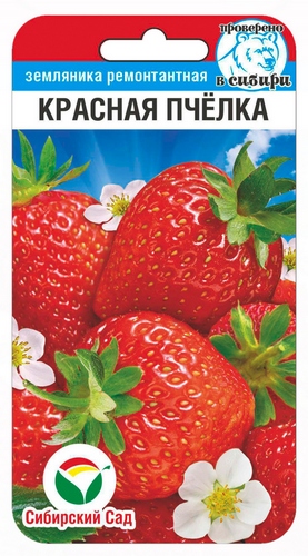 ягоды Земляника крупнопл. Красная Пчелка 10 шт ц/п Сиб.Сад (ремонтантн.)