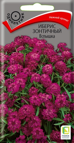 Цветы Иберис Вспышка 0,3 г ц/п Поиск (однол.)