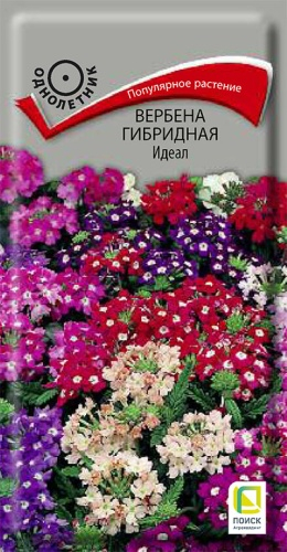 Цветы Вербена Идеал, смесь 0,2 г ц/п Поиск (однол.) (высота 30 см)