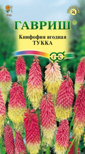 Цветы Книфофия Тукка 0,1 г ц/п Гавриш (мног.)