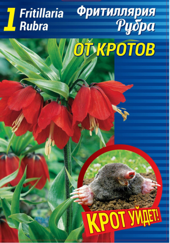 Фритиллярия - Рябчик Императорский Рубра