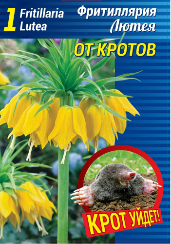 Фритиллярия - Рябчик Императорский Лютея