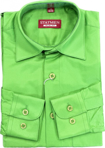 Рубашка для мальчика STATMEN арт.9.7078 зеленый