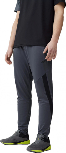 Брюки мужские TROUSERS FNK  M294, 4F