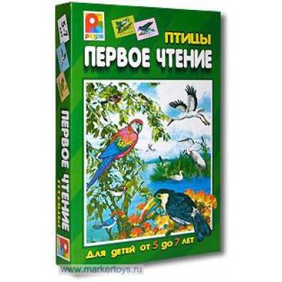 Игра Первое чтение Птицы С-458 в Нижнем Новгороде