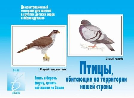 Игра Птицы обитающие на территории нашей страны в Нижнем Новгороде
